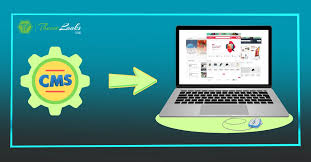 CMS Development Companies: Empowering Businesses Through Smart Content Solutions