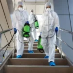 Pest Control Waterloo