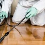 Pest Control Hamilton