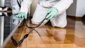 Pest Control Nepean Ontario for Safe Homes