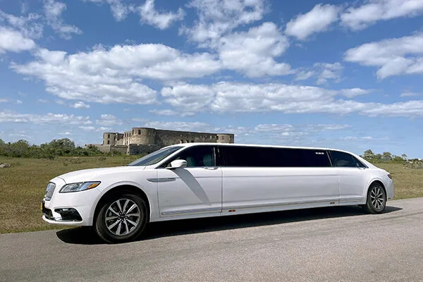 limousine transportation service 1 1