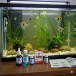 Aquarium Medications