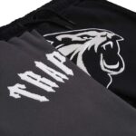 Trapstar Shorts and T Shirt Set1