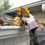 Gutter Cleaning Oceanside