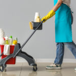 Professional Cleaning Services