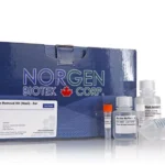 21900 Reflection web 39090