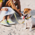 Annotation 2026 04 27 135549