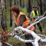 Annotation 2026 04 27 141631