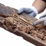 Termite Inspection Atlanta