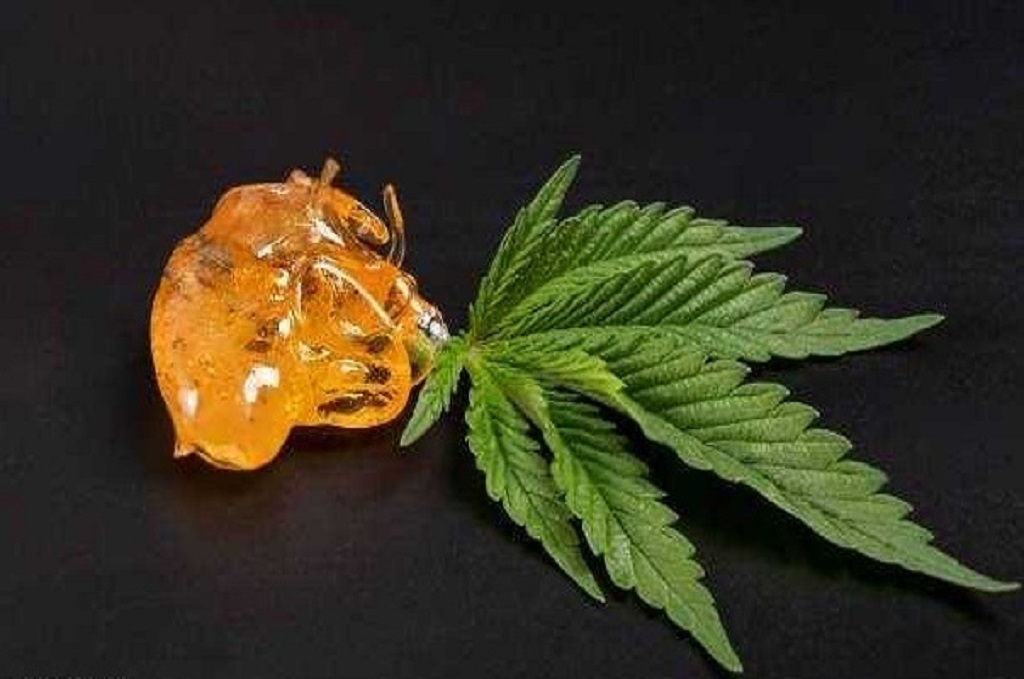 cannabis