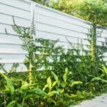 invisible fence contractor