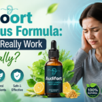 AudiFort