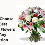 Summer Flowers