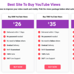 youtube views