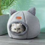Shop Cat Supplies