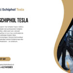 Taxi Schiphol Tesla
