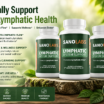 Lymphatic System Support