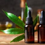 Why CBD Gummies Are the Most Popular Edible CBD Product