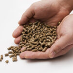 Rice Straw Pellet Supplier