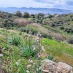 Invest in Greece Property(השקיעו בנכסי יוון)