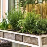 7 tips to grow a herb garden on a budget