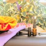Aromatherapy Massage Kitchener