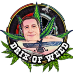 Brix Cart - The Guide to Modern Cannabis Excellence and Vaping Innovation