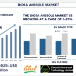 India Anisole Market