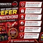 Reasons Why Many Users Prefer Winmatch360 Over Other Platforms