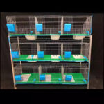 cage de lapin