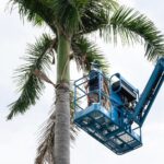 gardener cutting branches on cra