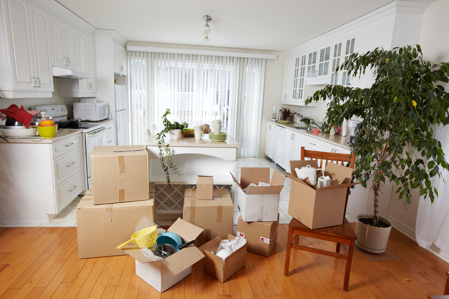 Wohnungsauflösungnach Todesfall Berlin