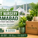 Online Plant Nursery Islamabad with Fast Delivery by Gulab PK featuring premium indoor plants and doorstep plant delivery in Islamabad.