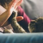jonas vincent xulIYVIbYIc unsplash