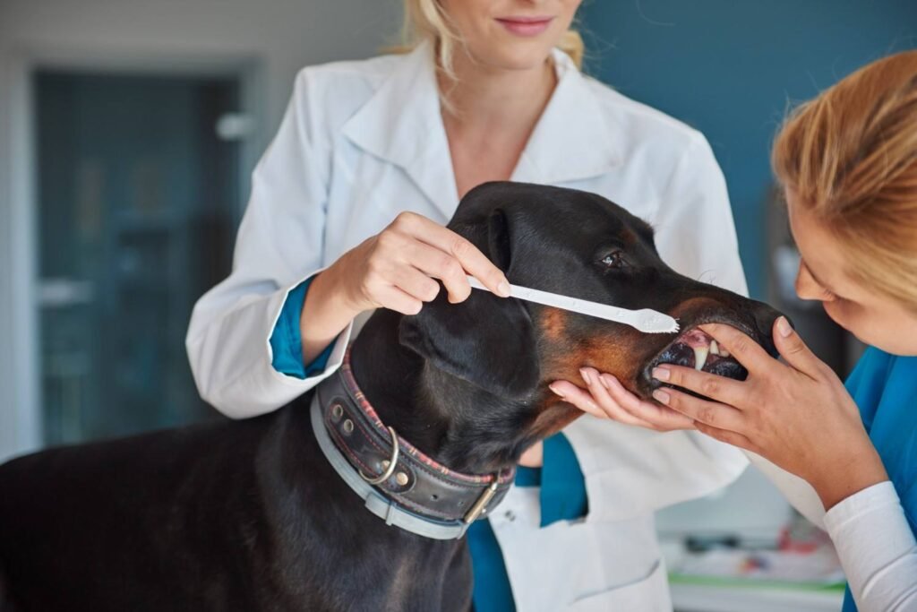 tooth control vet 100kb