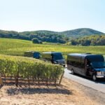 Best Napa party bus rental - Ambassador Limousines