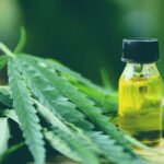 Difference Between Hemp Oil And CBD Oil