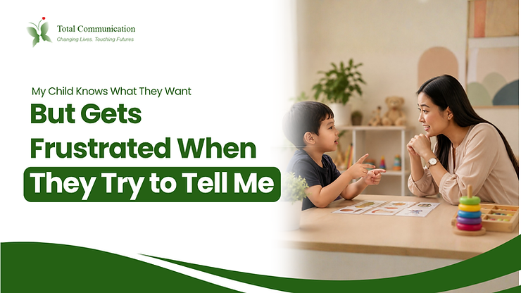 My Child Knows What They Want But Gets Frustrated When They Try to Tell Me