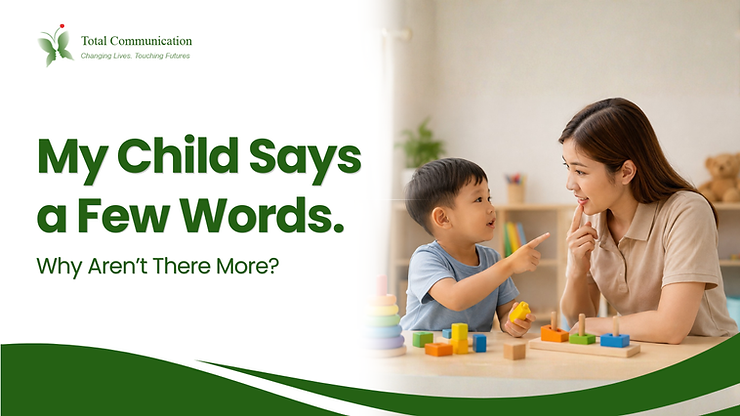 My Child Says a Few Words. Why Arent There More