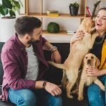 Pet Sitters