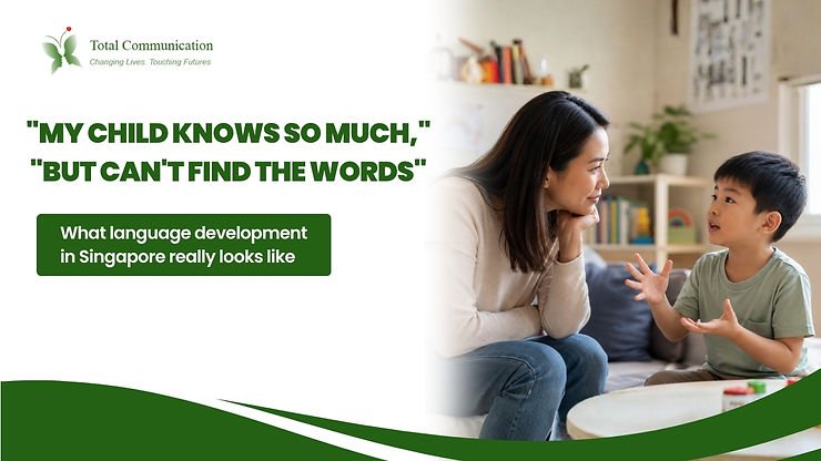 What Does Language Development