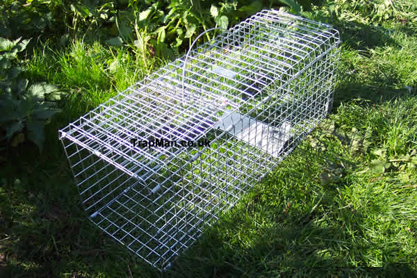 image 32