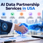 AI Data Partnership Services in USA