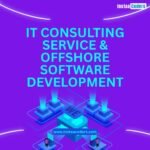 IT Consulting Service & Offshore Software Development