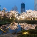 Tokyo night tour