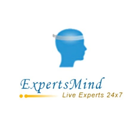 Expertsminds Logo1111 1